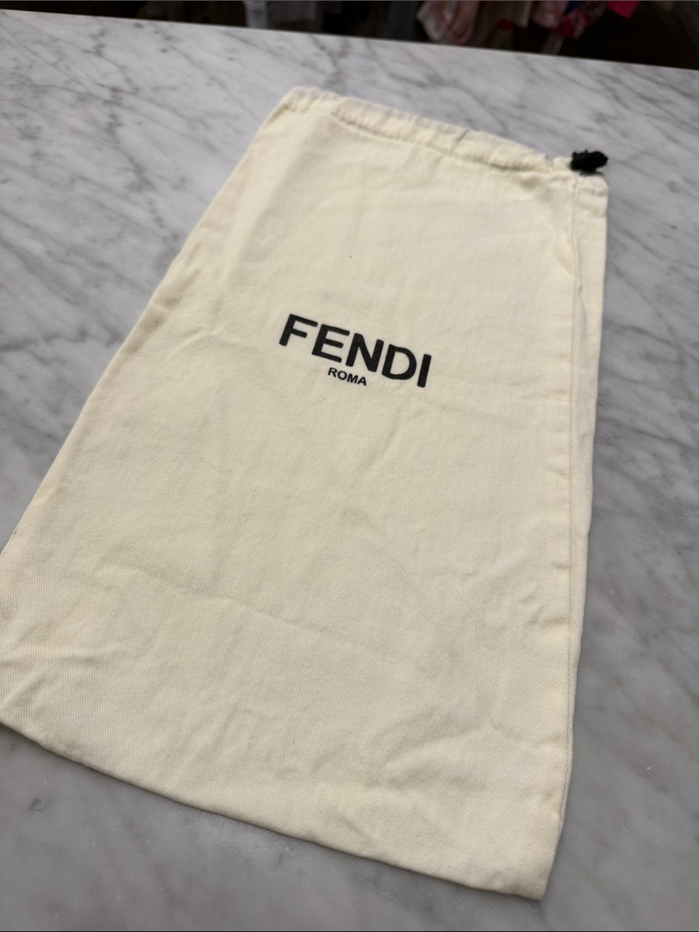 FENDI Designer Storage Bag Shoe Storage Sleeper Bag